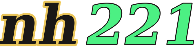 nh221 logo
